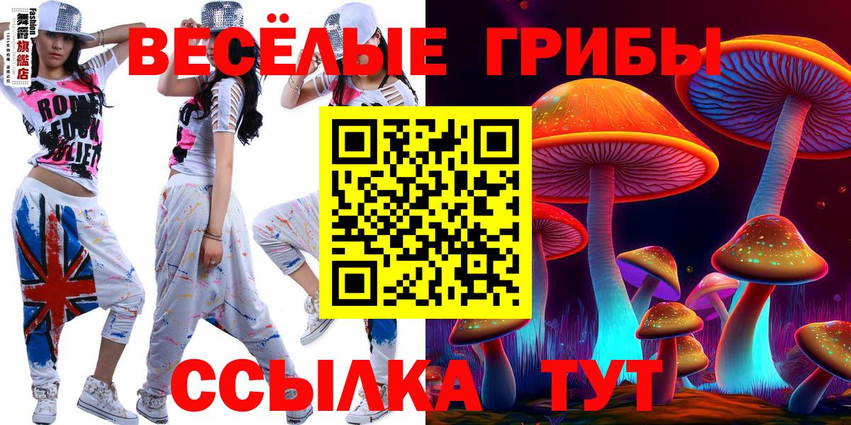 Галлюциногенные грибы GOLDEN TEACHER Ноябрьск