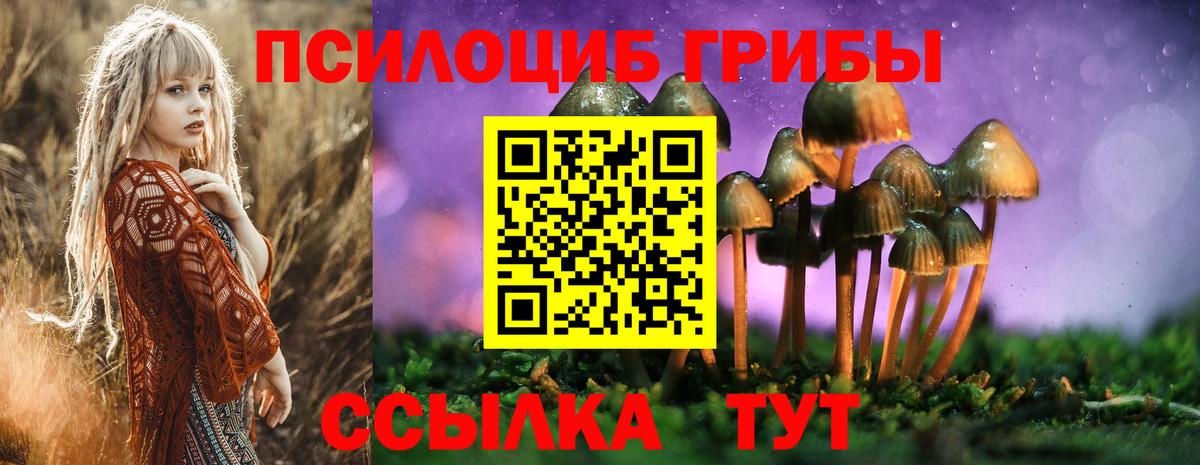 Галлюциногенные грибы Cubensis  Вход с VPN  Ноябрьск 
